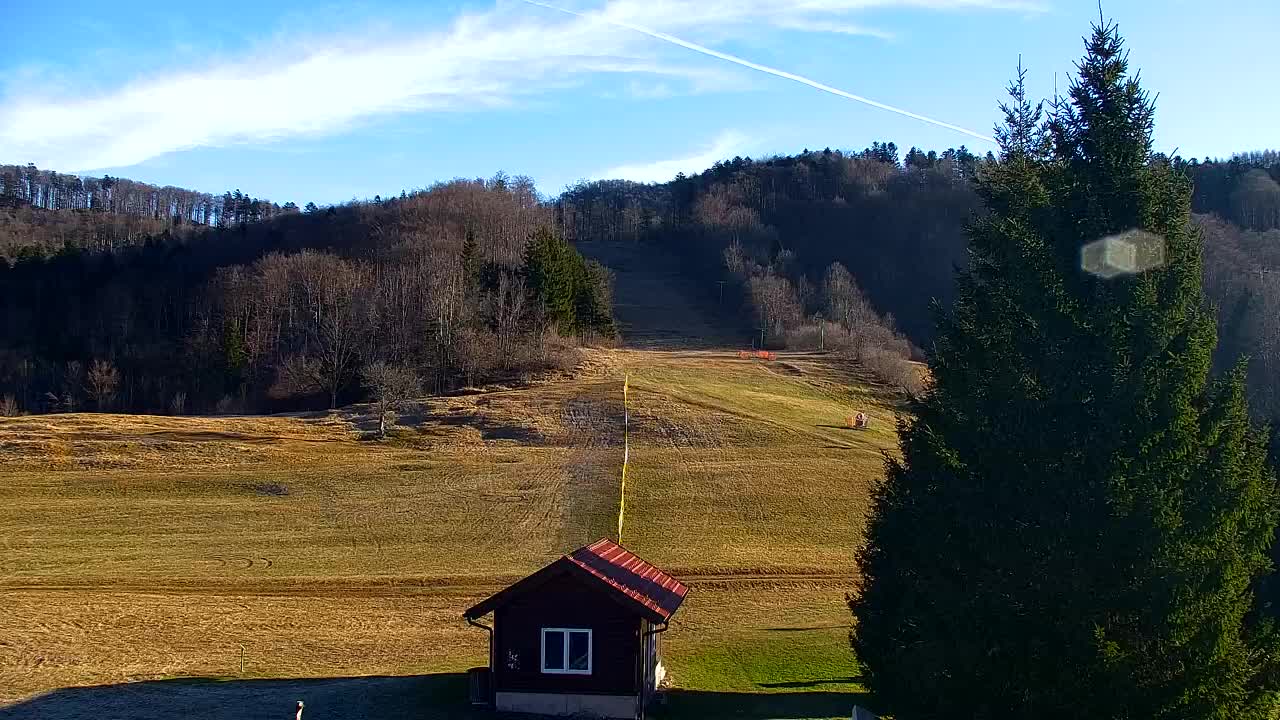 Camera en vivo Lokve – La belleza del bosque de Trnovo