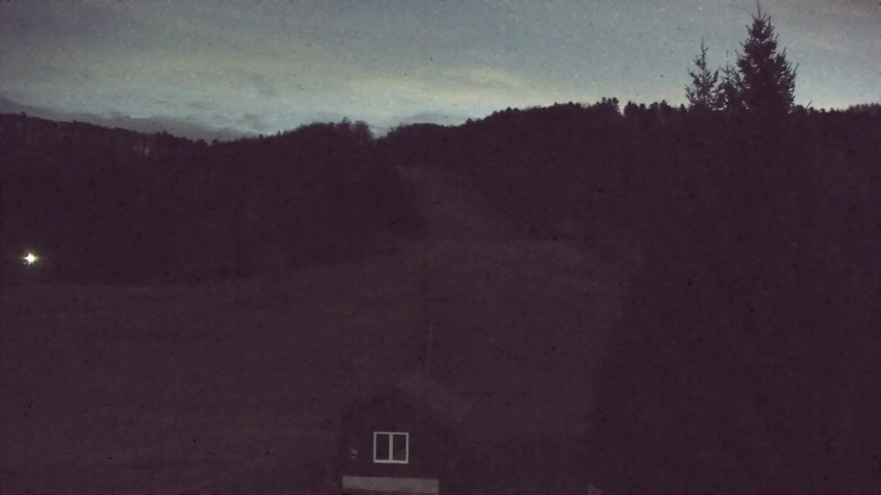 Webcam Loqua / Lokve – La bellezza della selva di Tarnova