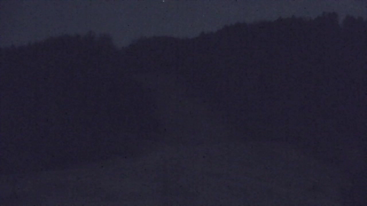 Webcam Lokve – The beauty of the Trnovo forest