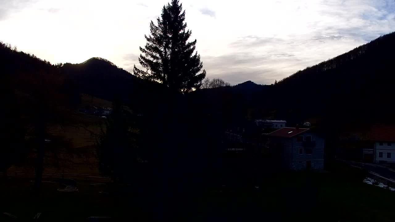 Webcam Loqua / Lokve – La bellezza della selva di Tarnova