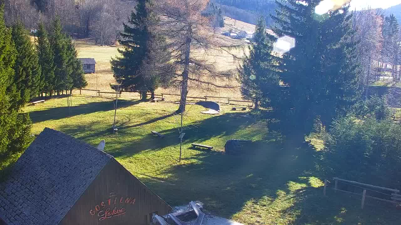 Webcam Loqua / Lokve – La bellezza della selva di Tarnova