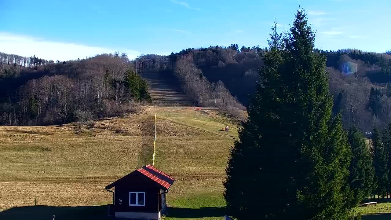 Webcam Lokve – The beauty of the Trnovo forest