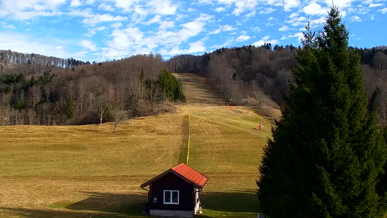 Webcam Loqua / Lokve – La bellezza della selva di Tarnova