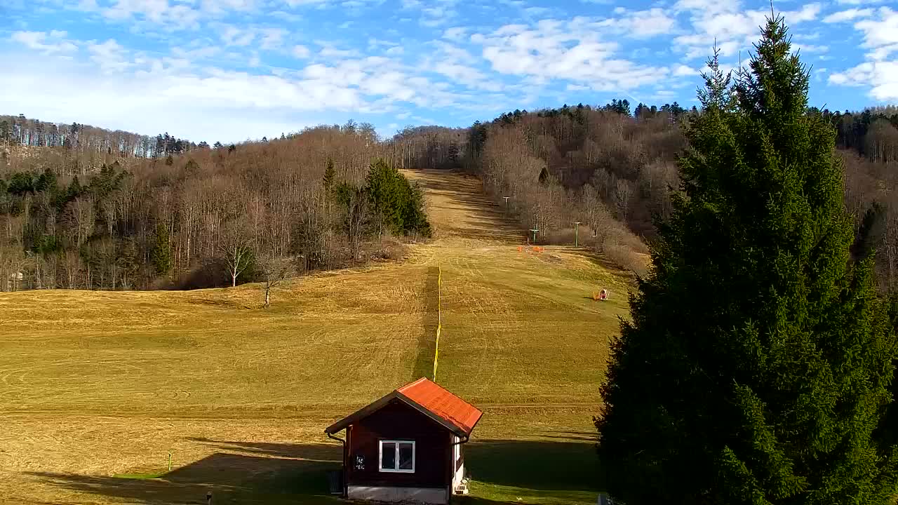 Webcam Lokve – The beauty of the Trnovo forest