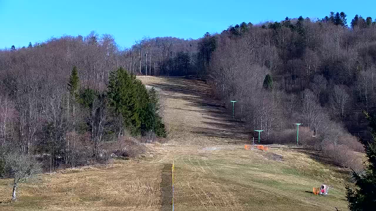 Lokve kamera – Naravne lepote Trnovskega gozda