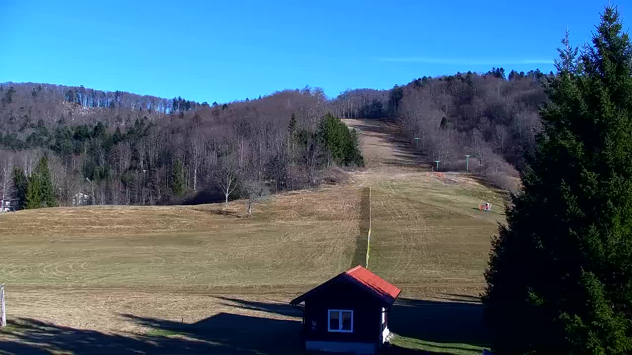 Webcam Lokve – La beauté de la forêt de Trnovo