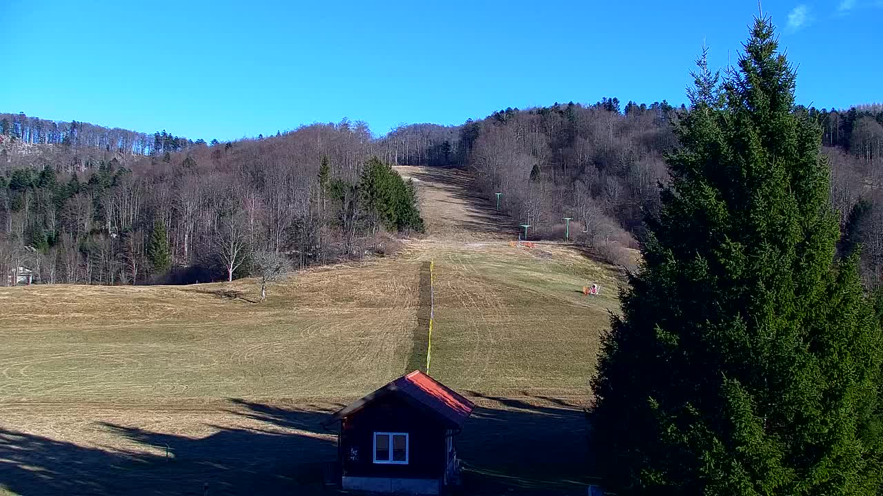 Webcam Lokve – Die Schönheit des Trnovo-Waldes
