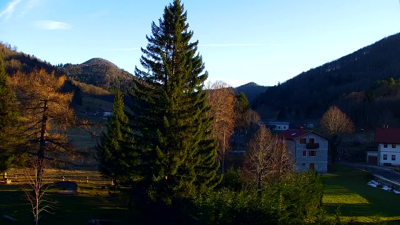 Webcam Lokve – La beauté de la forêt de Trnovo