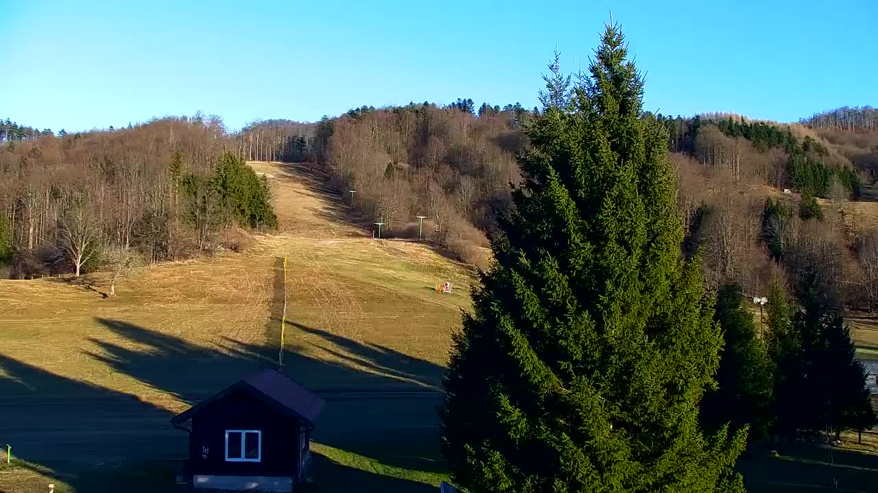 Webcam Lokve – La beauté de la forêt de Trnovo