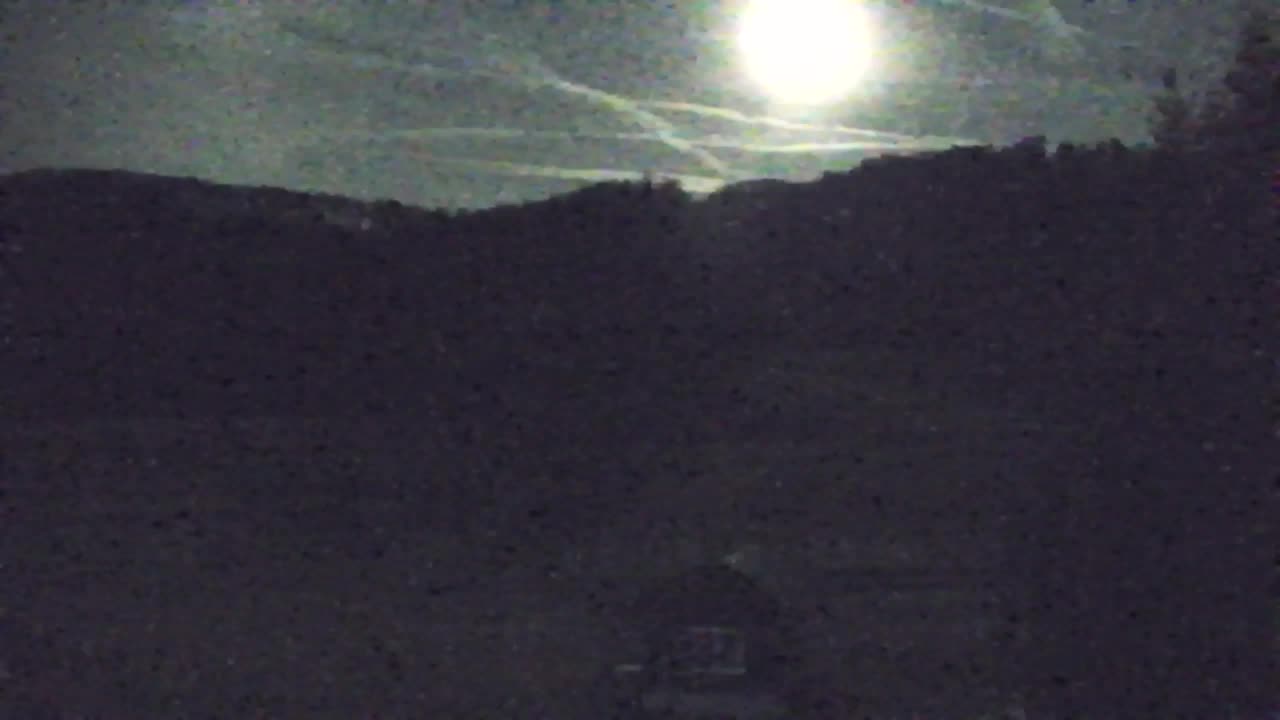 Webcam Loqua / Lokve – La bellezza della selva di Tarnova