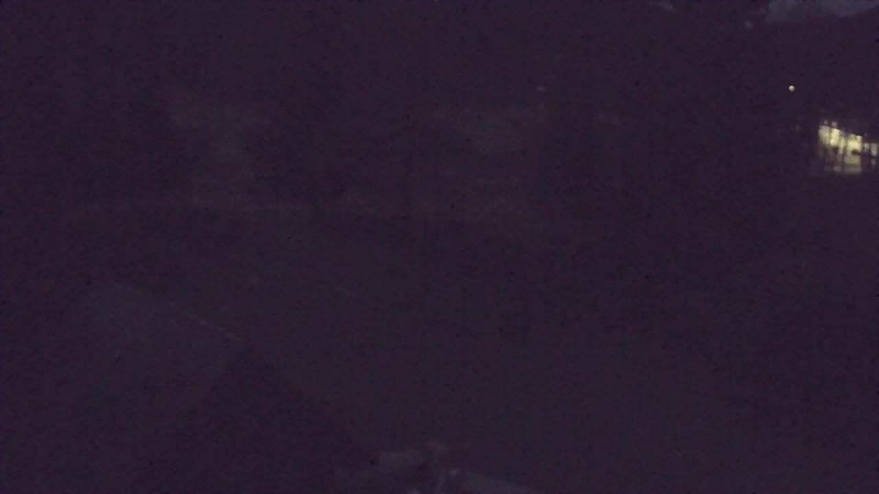 Webcam Loqua / Lokve – La bellezza della selva di Tarnova