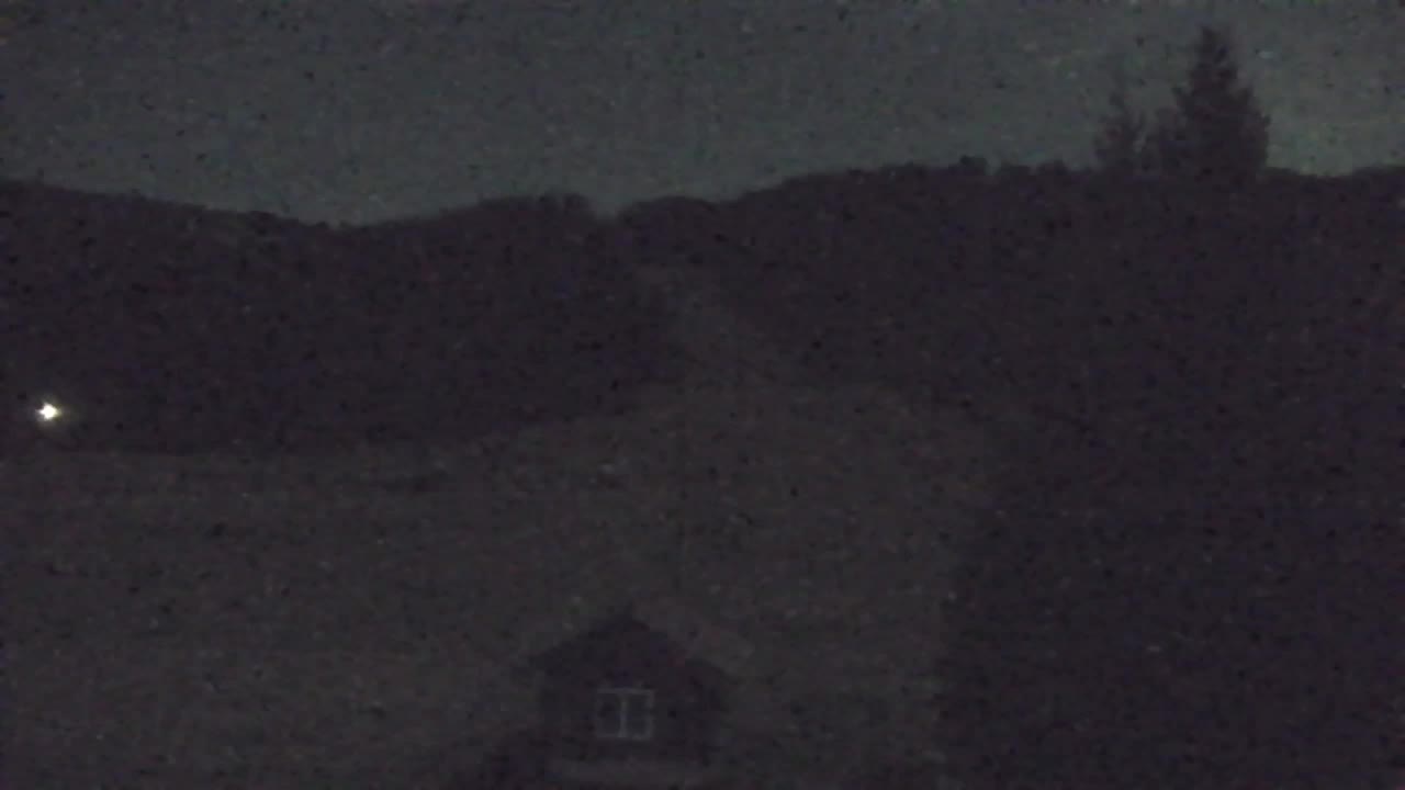 Webcam Lokve – The beauty of the Trnovo forest