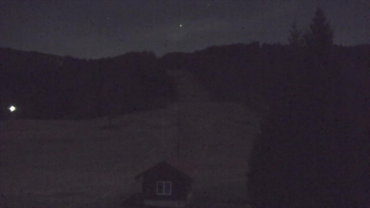 Webcam Loqua / Lokve – La bellezza della selva di Tarnova