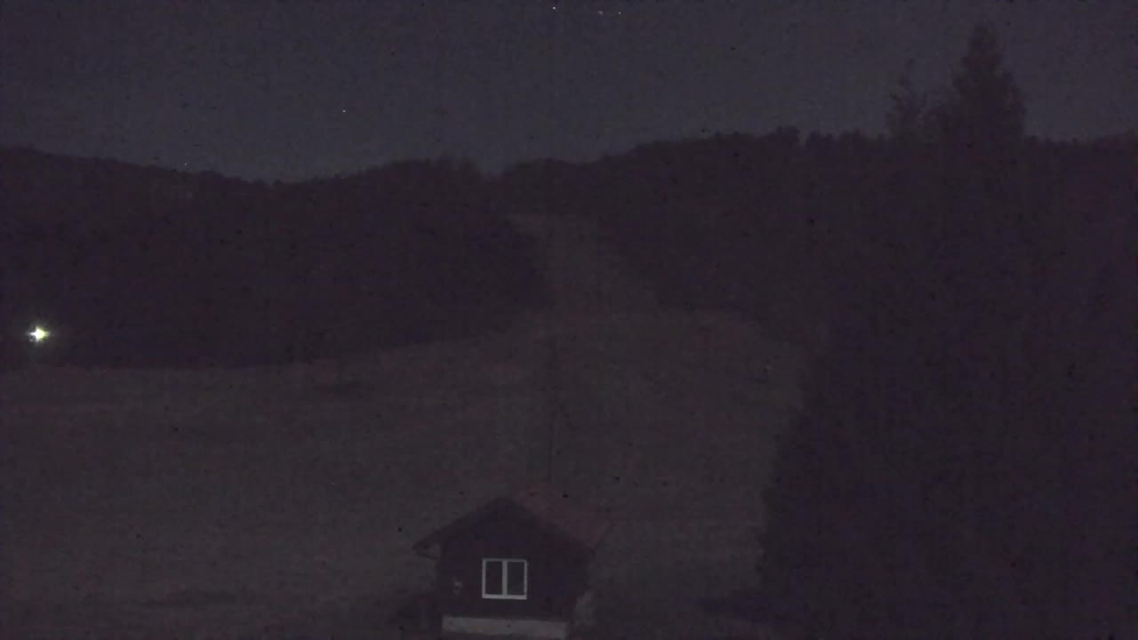 Webcam Lokve – The beauty of the Trnovo forest