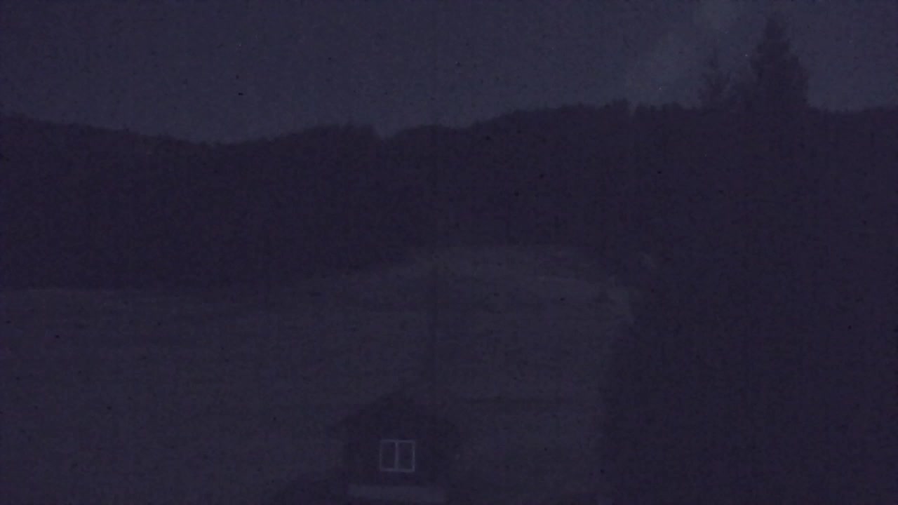 Camera en vivo Lokve – La belleza del bosque de Trnovo