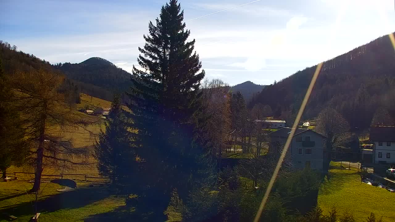 Web kamera Lokve – Ljepota Trnovske šume