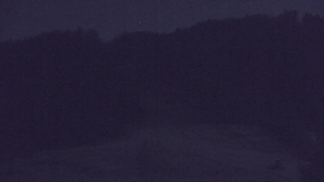 Webcam Loqua / Lokve – La bellezza della selva di Tarnova