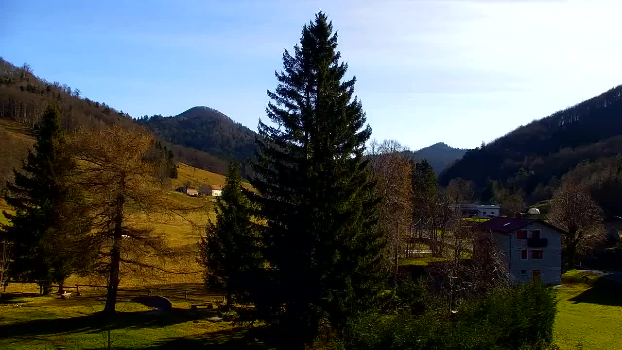 Web kamera Lokve – Ljepota Trnovske šume