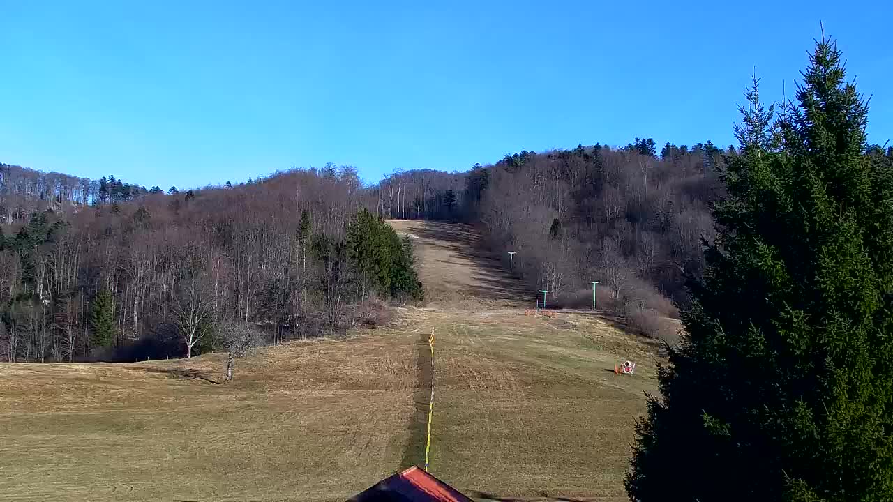 Webcam Lokve – La beauté de la forêt de Trnovo