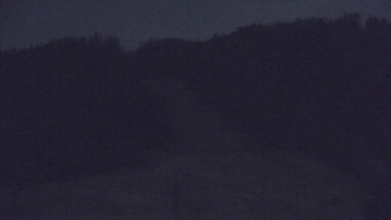 Lokve kamera – Naravne lepote Trnovskega gozda