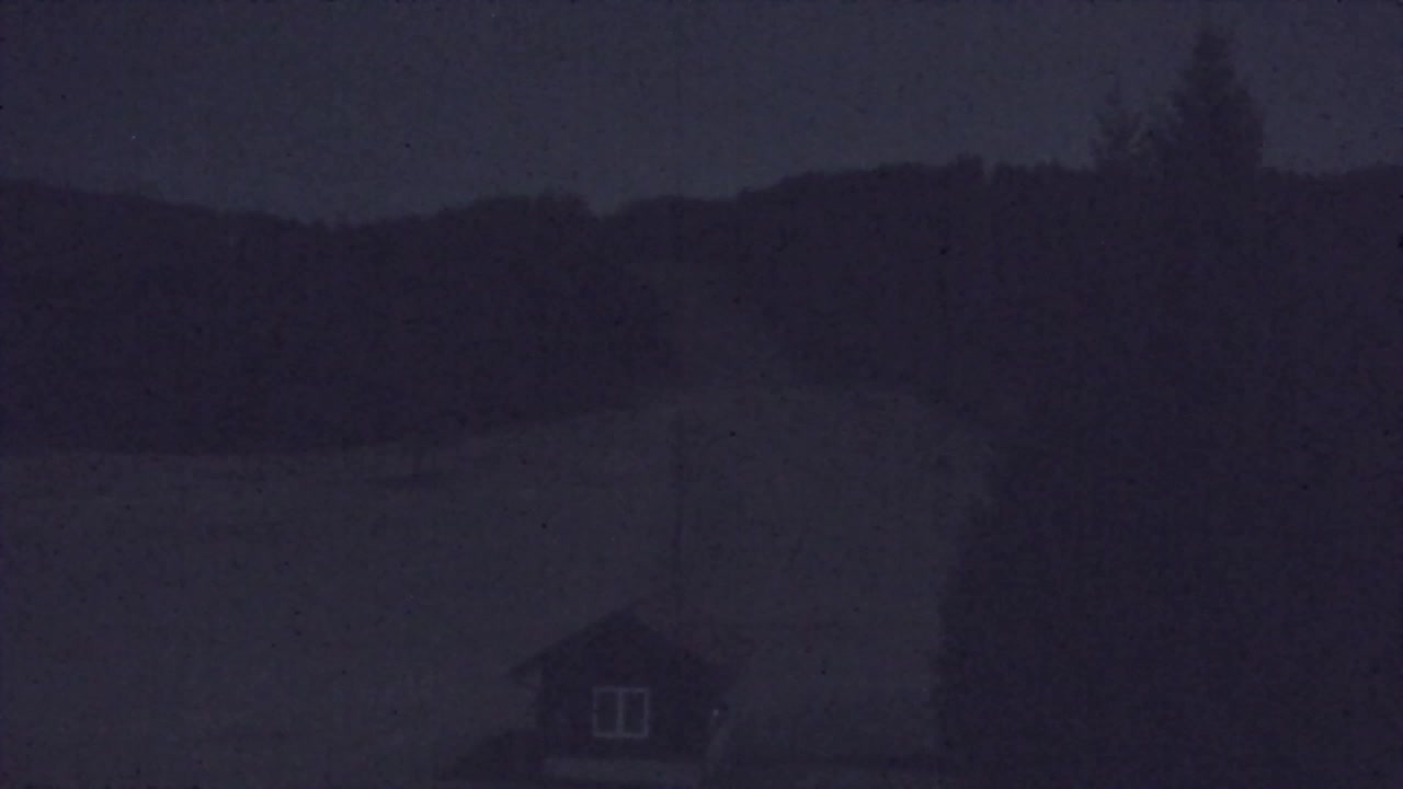 Webcam Lokve – The beauty of the Trnovo forest