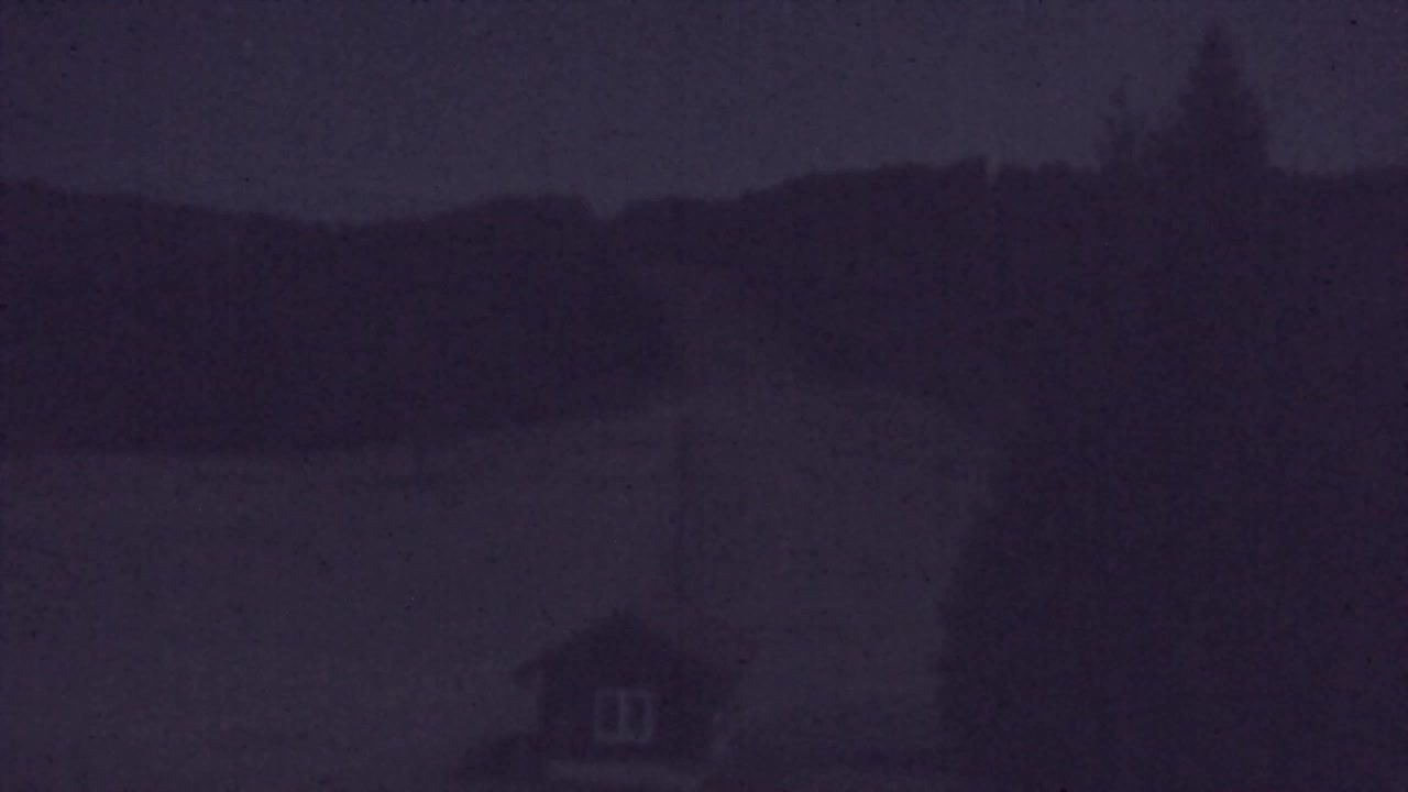 Webcam Lokve – The beauty of the Trnovo forest