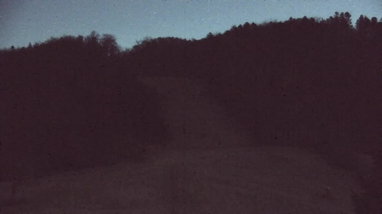 Webcam Lokve – The beauty of the Trnovo forest