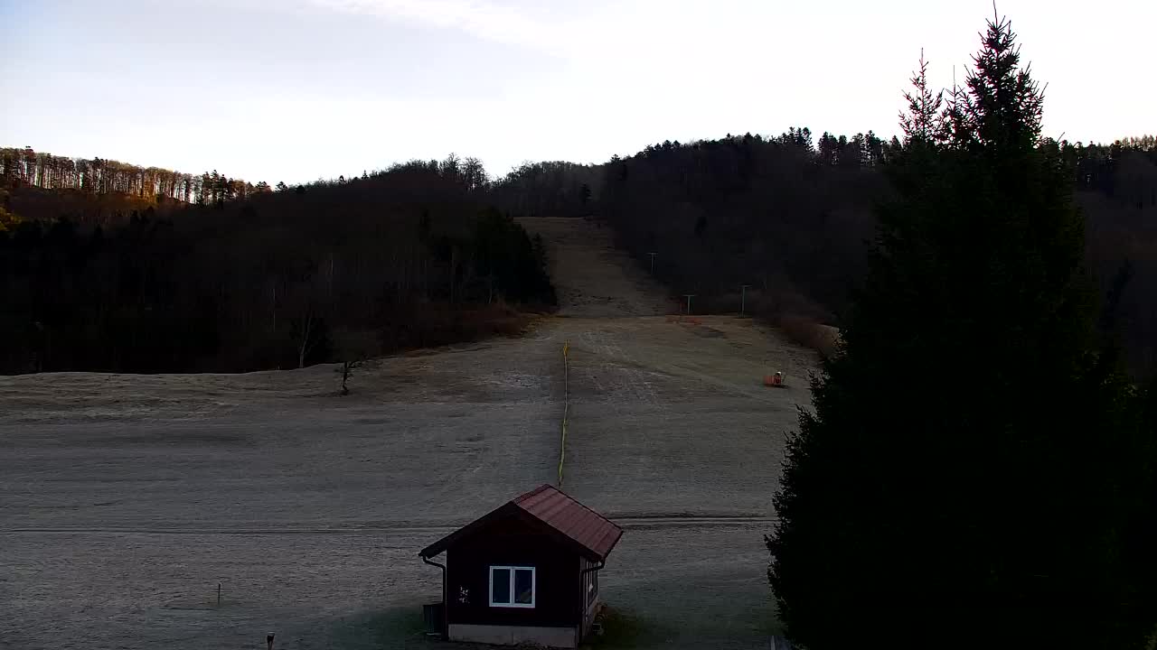 Webcam Loqua / Lokve – La bellezza della selva di Tarnova