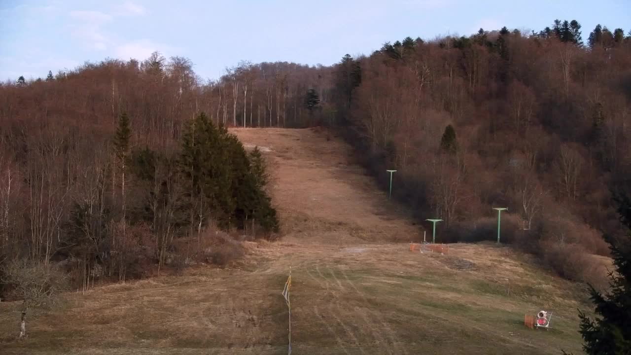 Webcam Lokve – The beauty of the Trnovo forest