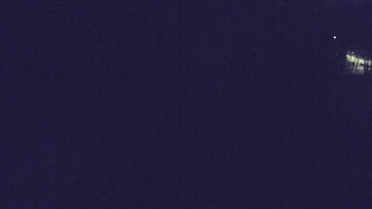 Webcam Loqua / Lokve – La bellezza della selva di Tarnova