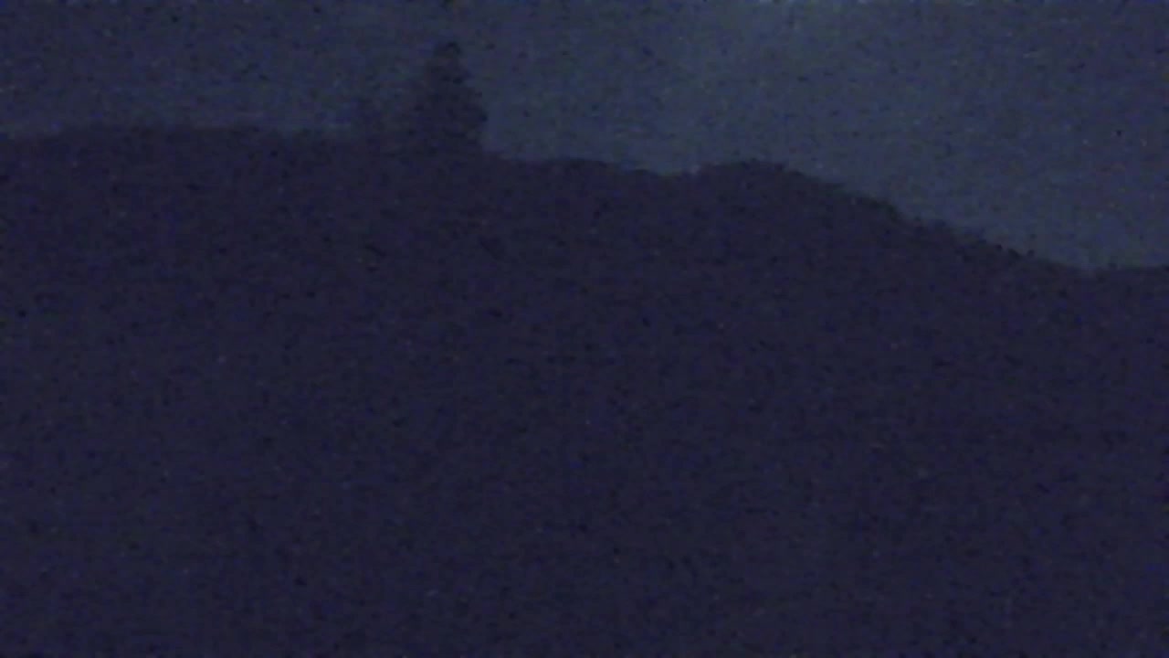 Webcam Loqua / Lokve – La bellezza della selva di Tarnova