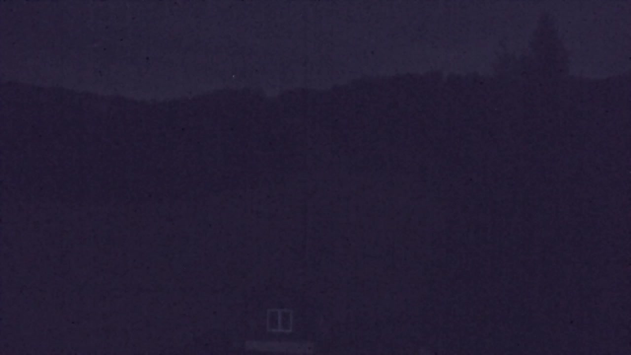 Webcam Lokve – La beauté de la forêt de Trnovo