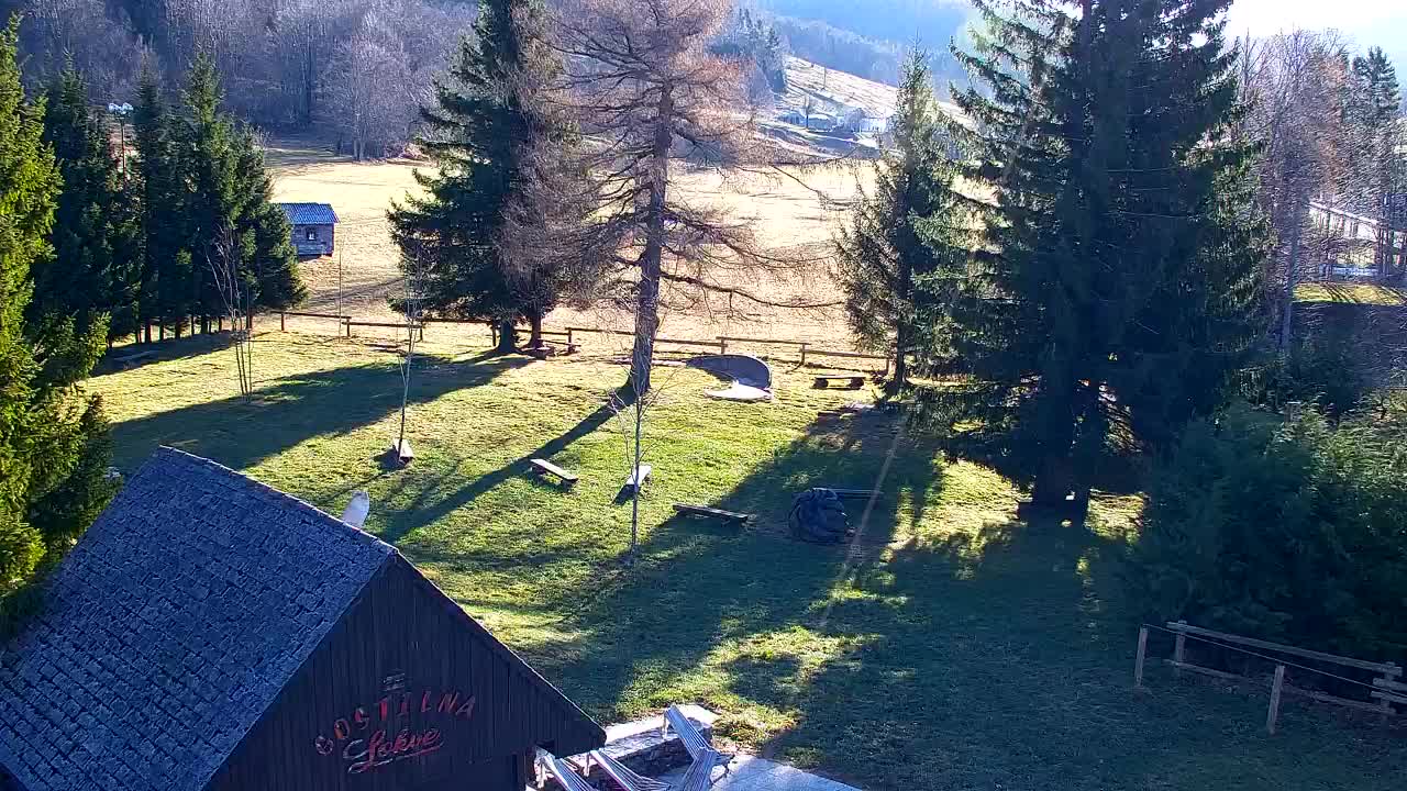 Webcam Loqua / Lokve – La bellezza della selva di Tarnova