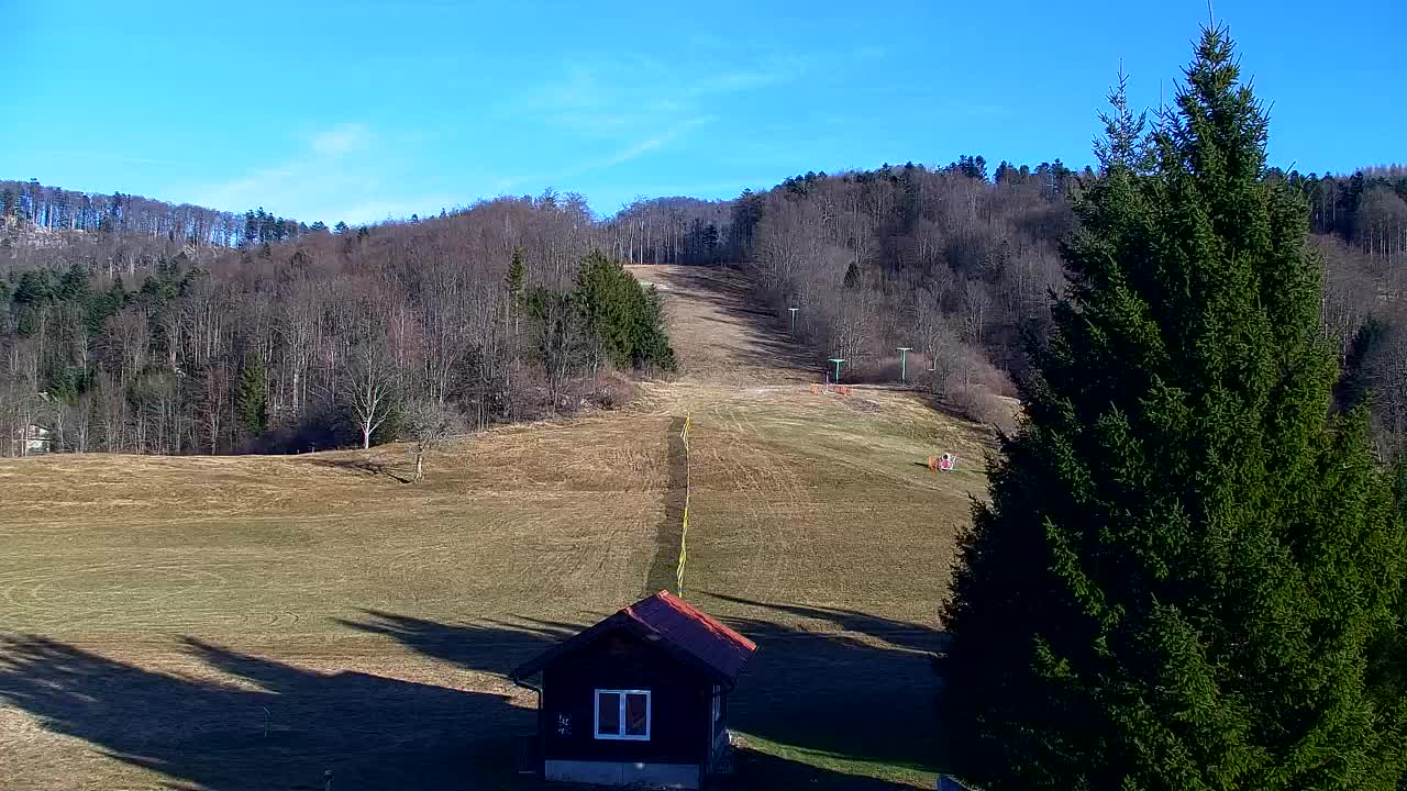 Web kamera Lokve – Ljepota Trnovske šume