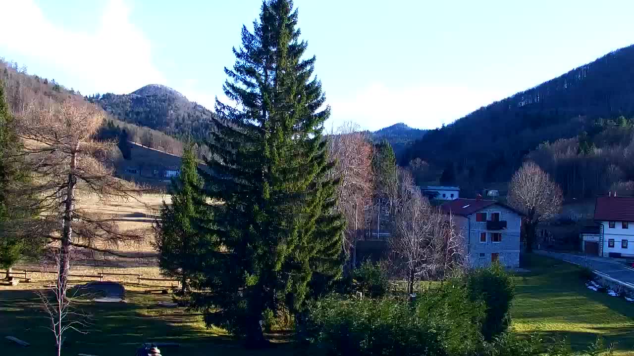 Webcam Lokve – La beauté de la forêt de Trnovo