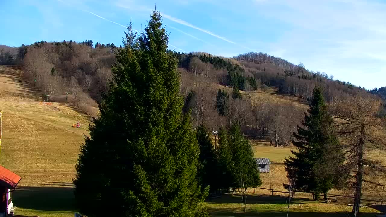 Web kamera Lokve – Ljepota Trnovske šume