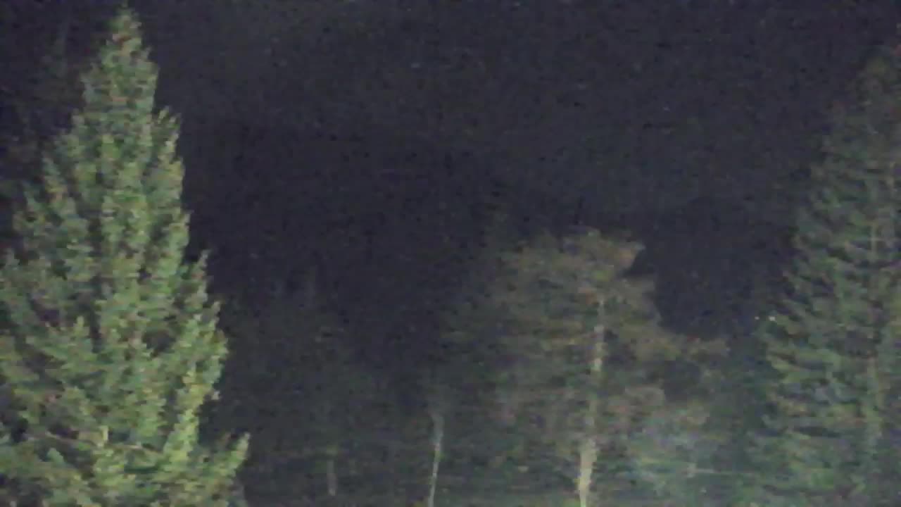 Webcam Lokve – The beauty of the Trnovo forest