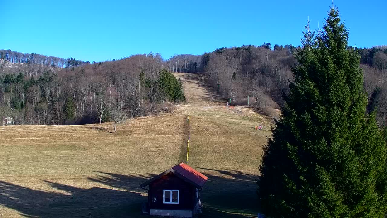 Webcam Loqua / Lokve – La bellezza della selva di Tarnova