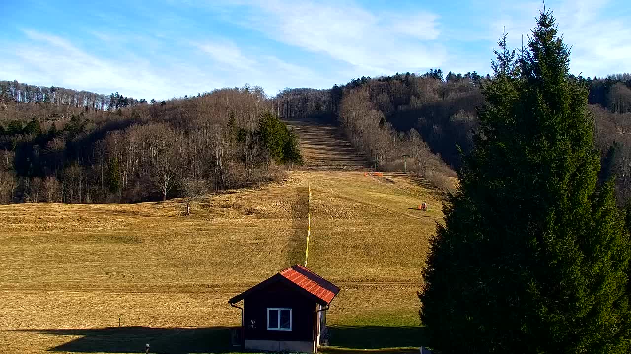 Lokve kamera – Naravne lepote Trnovskega gozda
