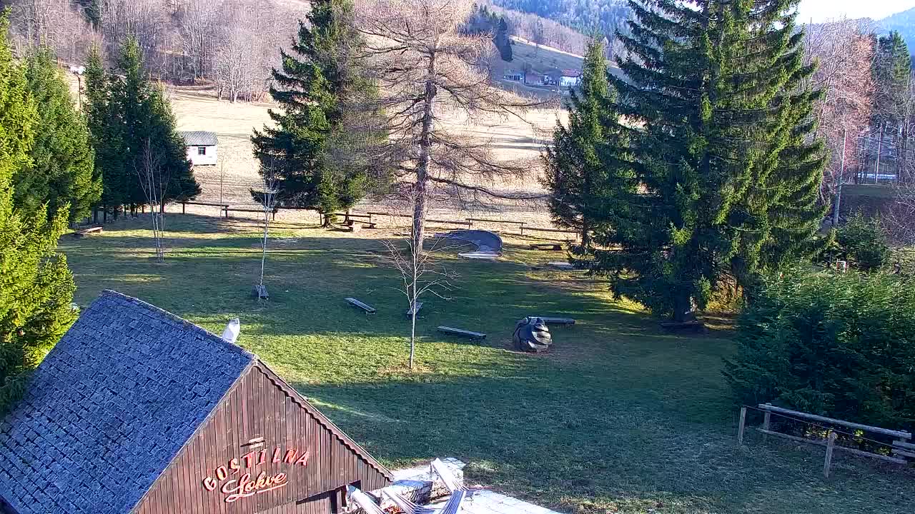 Webcam Lokve – The beauty of the Trnovo forest