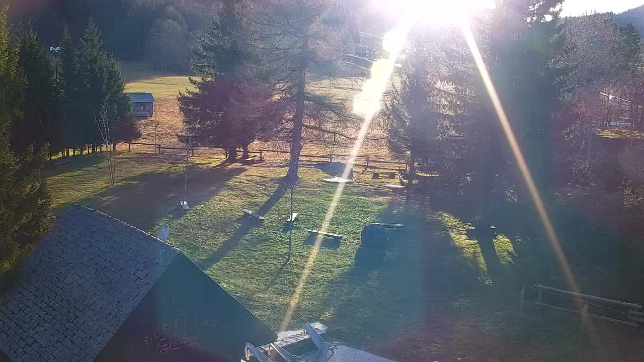 Webcam Lokve – The beauty of the Trnovo forest