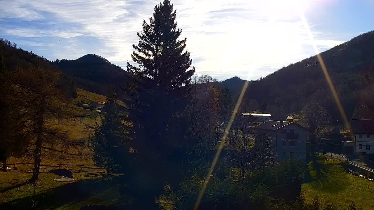 Lokve kamera – Naravne lepote Trnovskega gozda