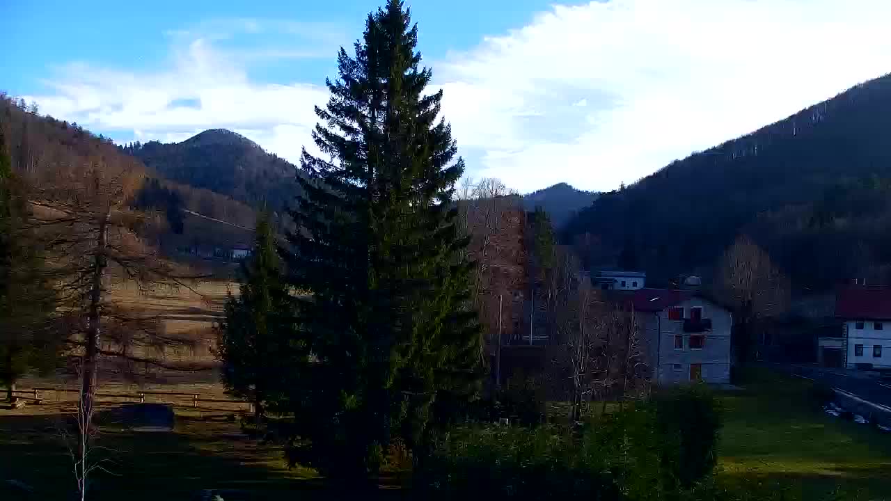 Webcam Loqua / Lokve – La bellezza della selva di Tarnova