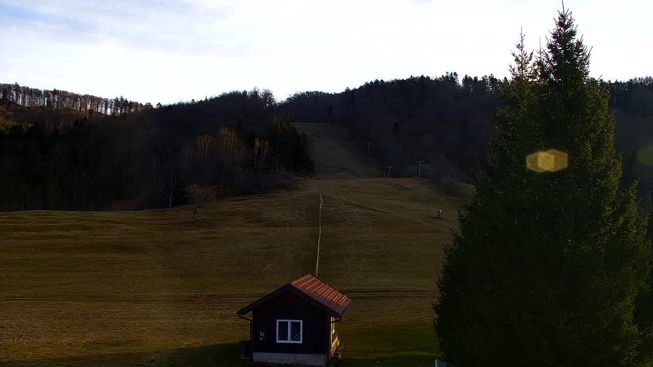 Webcam Lokve – The beauty of the Trnovo forest