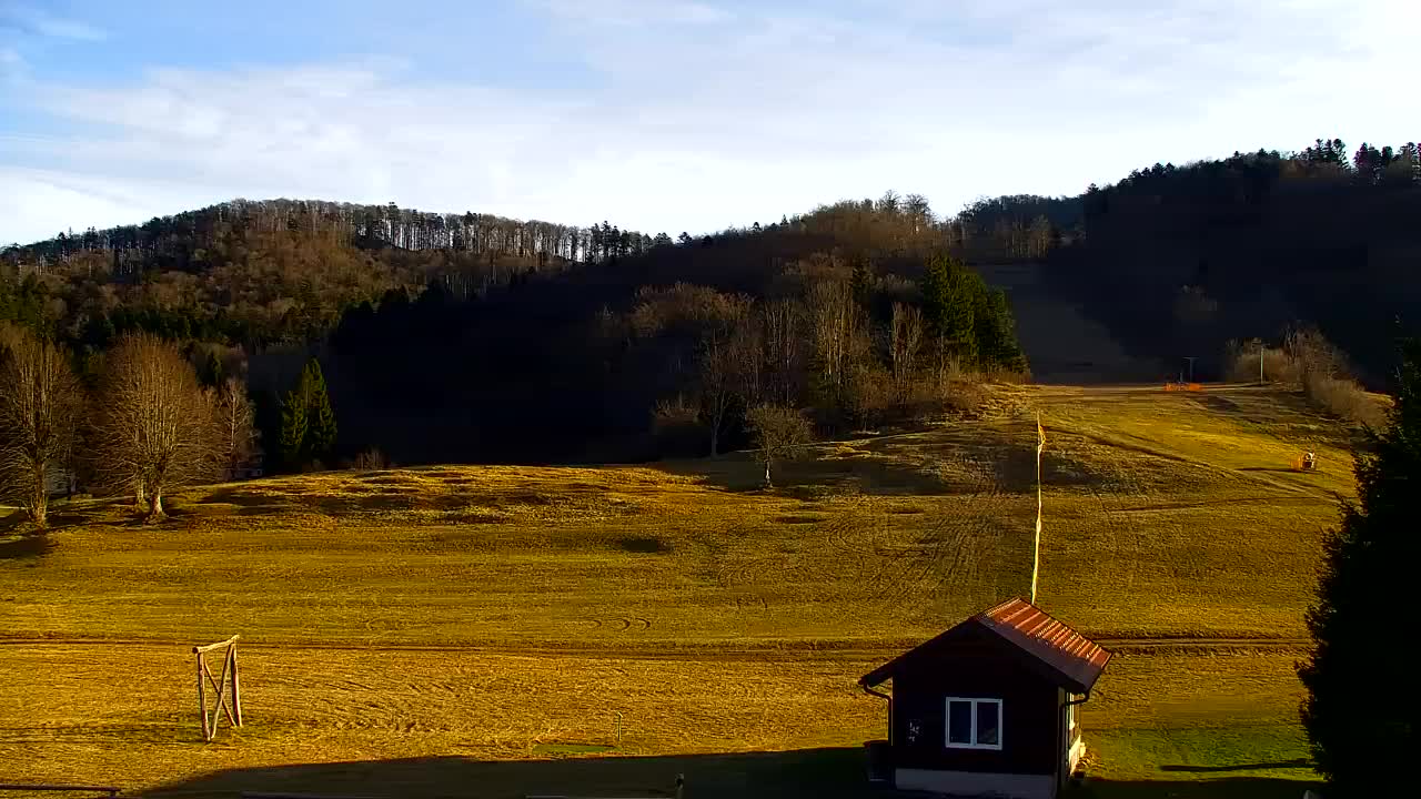 Webcam Loqua / Lokve – La bellezza della selva di Tarnova