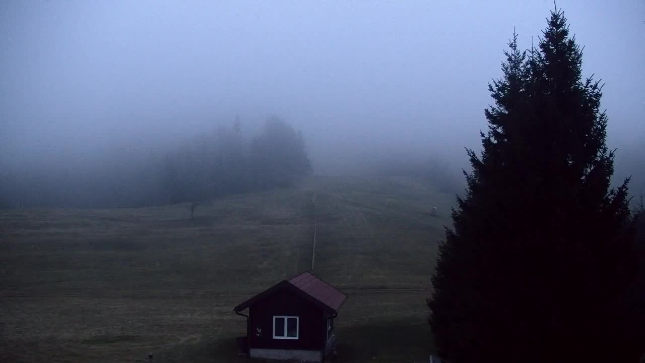 Webcam Loqua / Lokve – La bellezza della selva di Tarnova