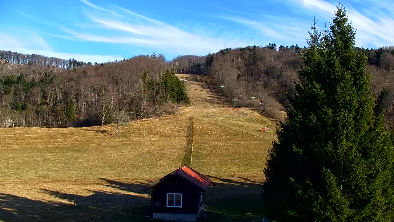 Webcam Lokve – Die Schönheit des Trnovo-Waldes
