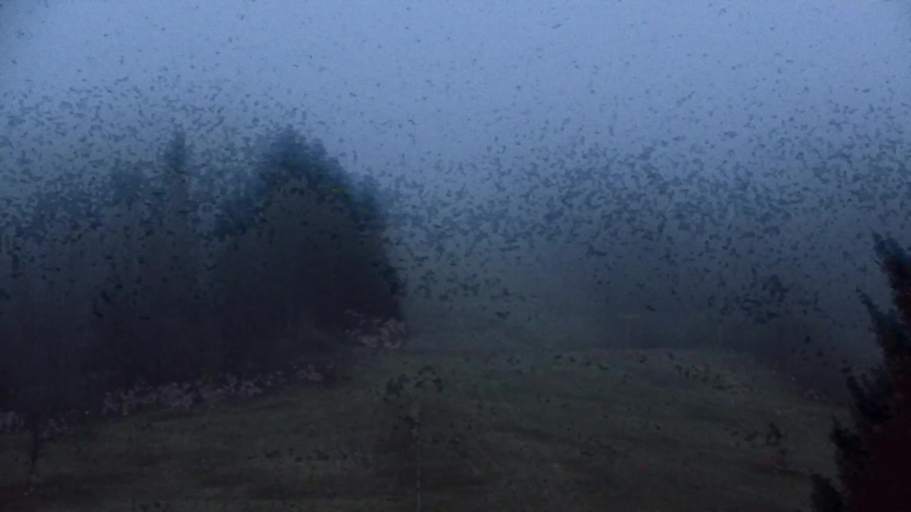 Camera en vivo Lokve – La belleza del bosque de Trnovo