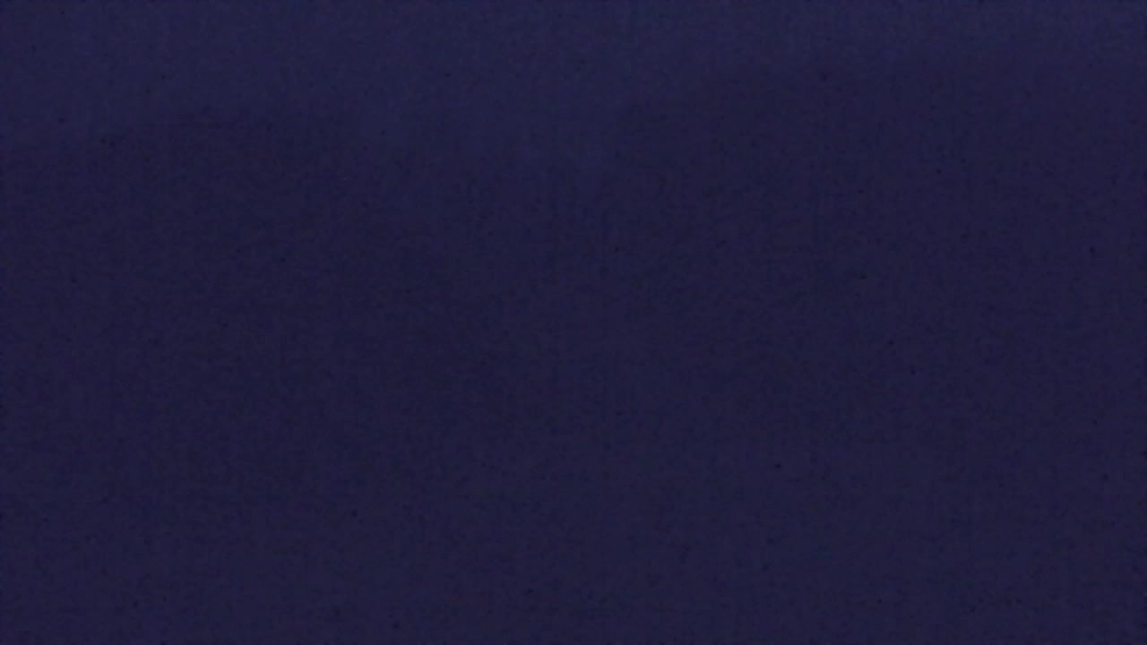 Webcam Lokve – The beauty of the Trnovo forest