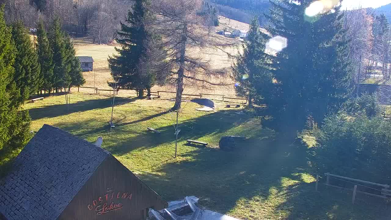 Lokve kamera – Naravne lepote Trnovskega gozda